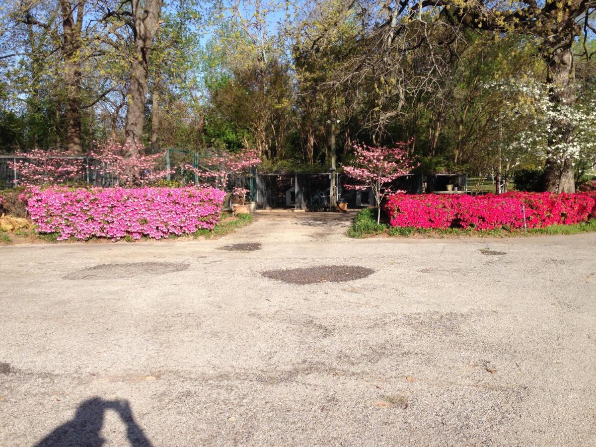 Dogwood Springs Lodgings Mineola Экстерьер фото