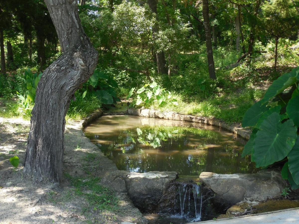 Dogwood Springs Lodgings Mineola Экстерьер фото
